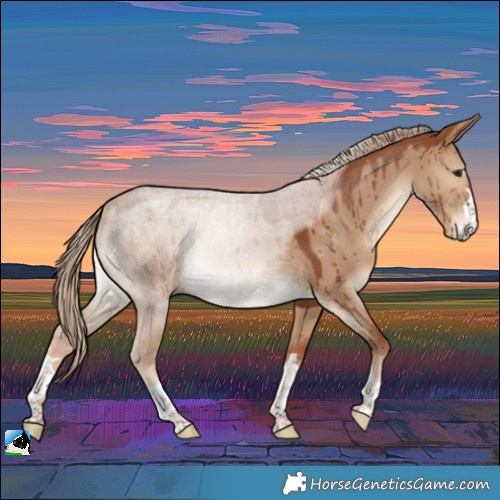 Horse Color:Red Dun Rabicano Brindle 