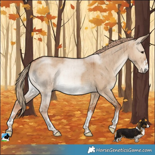 Horse Color:Red Dun Brindle 