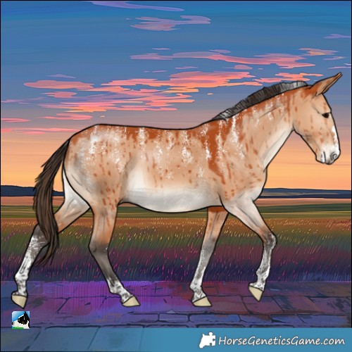 Horse Color:Powder White Bay Dun Brindle