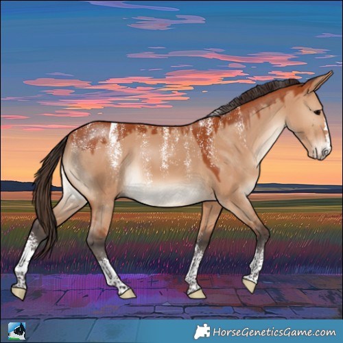 Horse Color:Powder White Bay Dun