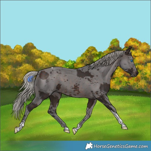 Horse Color:Silver Brown Merle Tobiano