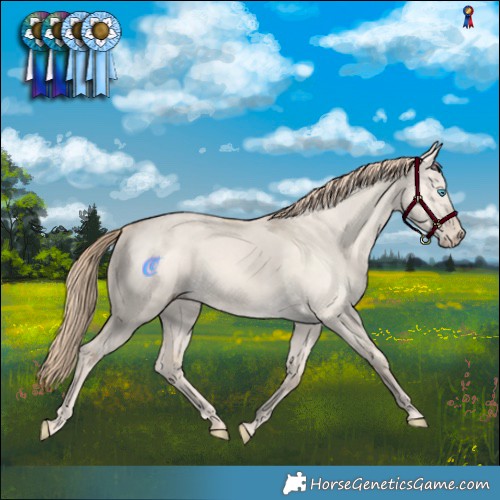 Horse Color:Perlino Dun Rabicano 