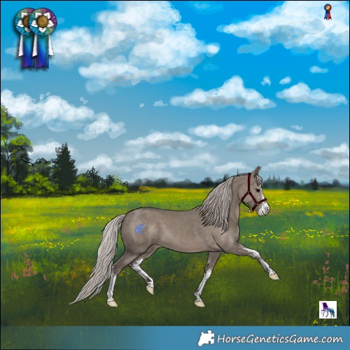 Horse Color:Silver Grullo Sabino 