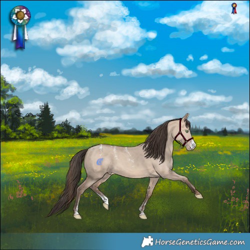Horse Color:Powder White Sable Champagne Dun Sabino 