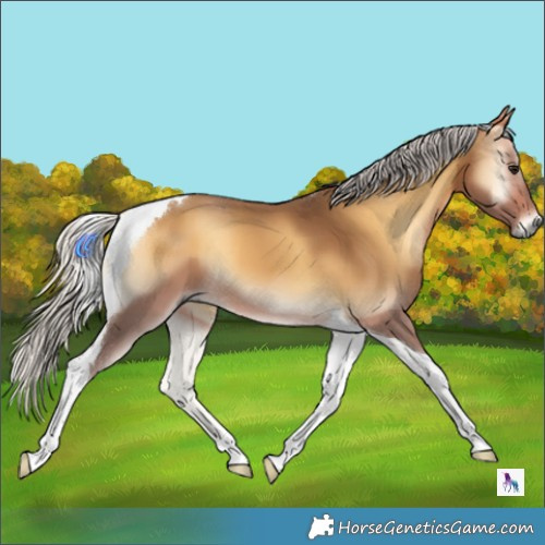 Horse Color:Silver Buckskin Onyx Tobiano