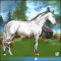 Horse Color:Gray White Spotted Chocolate Palomino Tobiano 