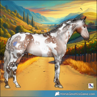 Horse Color:Gray White Spotted Chocolate Palomino Tobiano 