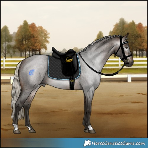 Horse Color:Gray Silver Buckskin Roan Rabicano 