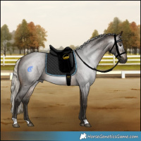 Horse Color:Gray Silver Buckskin Roan Rabicano 