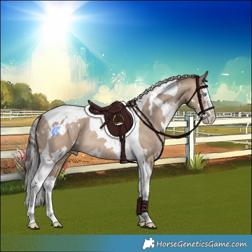 Horse Color:White Spotted Sable Champagne Dun Splash Tobiano Rabicano 