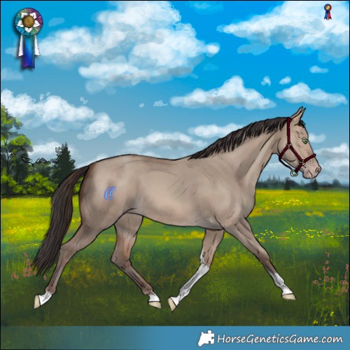Horse Color:Sable Champagne Dun Tobiano 