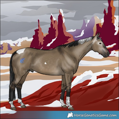 Horse Color:Gray Brown Dun Tobiano Rabicano 