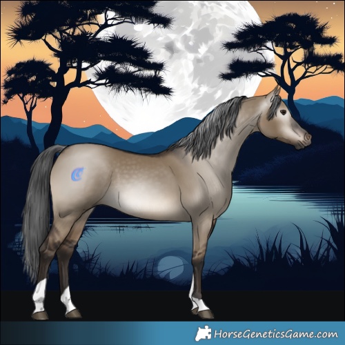 Horse Color:Gray Brown Dun Tobiano Rabicano 