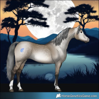 Horse Color:Gray Brown Dun Tobiano Rabicano