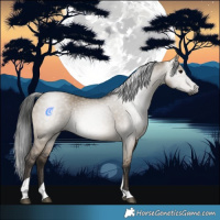 Horse Color:Gray Brown Dun Tobiano Rabicano 