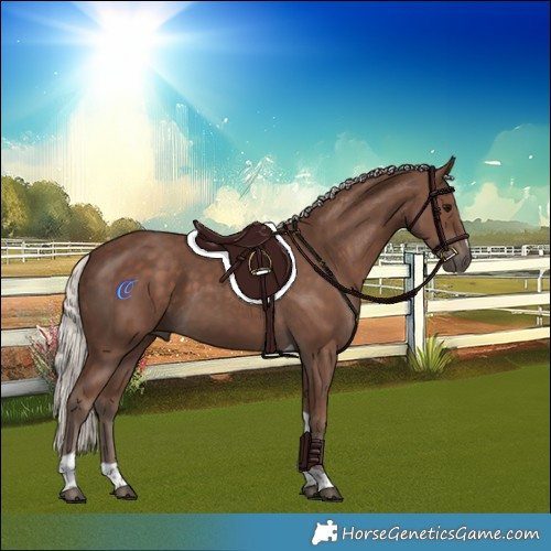 Horse Color:Silver Black Tobiano 