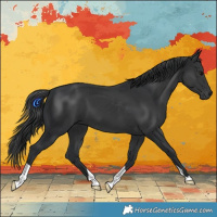 Horse Color:Black 