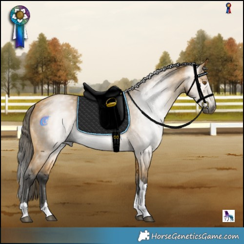 Horse Color:Gray Buckskin Mushroom Tobiano 
