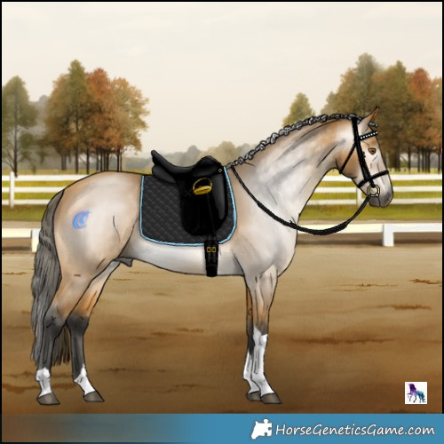 Horse Color:Gray Buckskin Mushroom Tobiano 