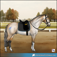 Horse Color:Gray Buckskin Mushroom Tobiano