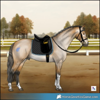 Horse Color:Gray Buckskin Mushroom Tobiano 