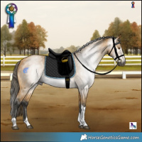 Horse Color:Gray Buckskin Mushroom Tobiano