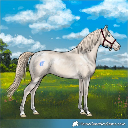 Horse Color:Perlino 