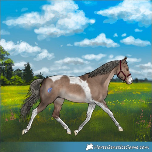 Horse Color:White Spotted Liver Red Dun Mushroom Tobiano