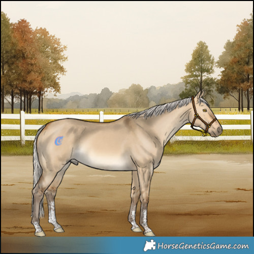 Horse Color:Silver Buckskin Dun Sabino 