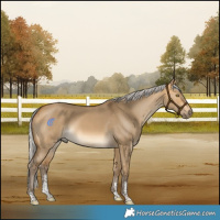 Horse Color:Silver Buckskin Dun Sabino