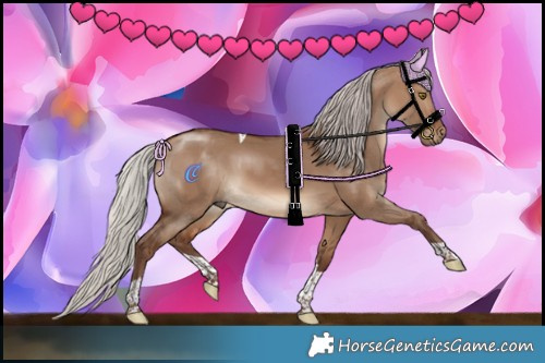 Horse Color:Silver Brown Dun Tobiano 