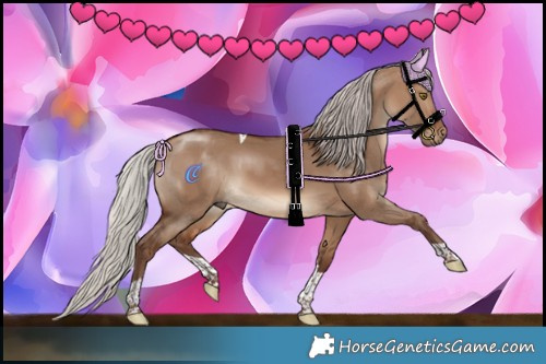 Horse Color:Silver Brown Dun Tobiano 