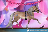 Horse Color:Silver Brown Dun Tobiano 