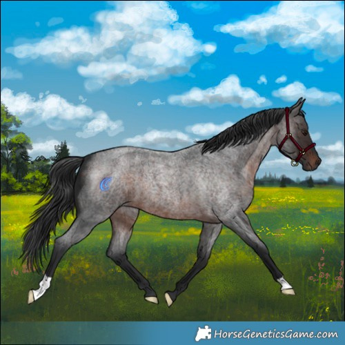 Horse Color:Brown Roan Mushroom 