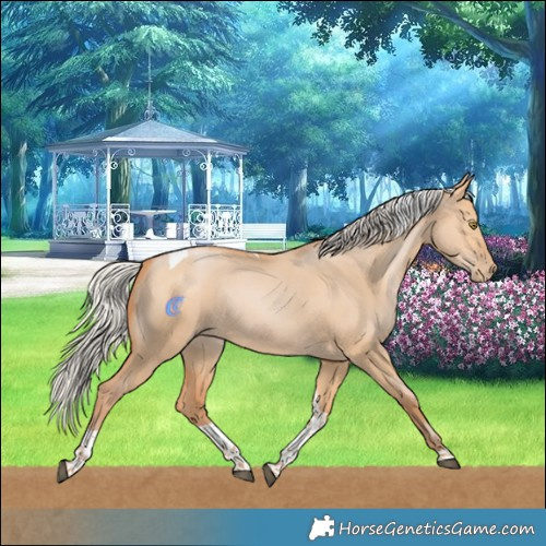 Horse Color:Silver Bay Pearl Dun Tobiano Rabicano 
