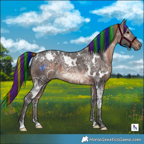 Horse Color:Painted White Spotted Brown Ice