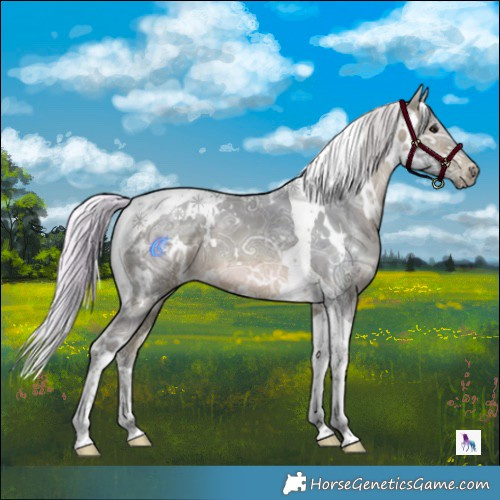 Horse Color:Watercolor White Spotted Silver Brown Ice Tobiano 