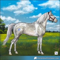 Horse Color:Watercolor White Spotted Silver Brown Ice Tobiano