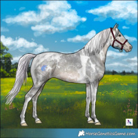 Horse Color:Watercolor White Spotted Silver Brown Ice Tobiano 