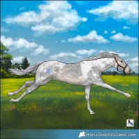 Horse Color:Watercolor White Spotted Silver Brown Ice Tobiano 