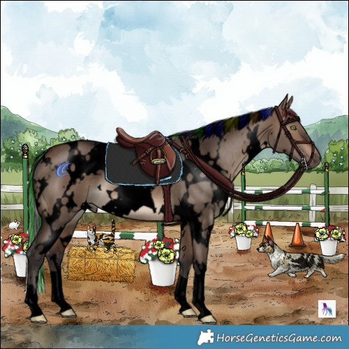 Horse Color:Void Painted White Spotted Brown Dun 