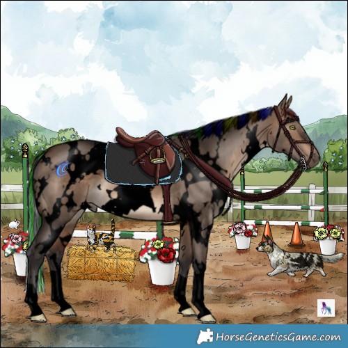 Horse Color:Void Painted White Spotted Brown Dun 