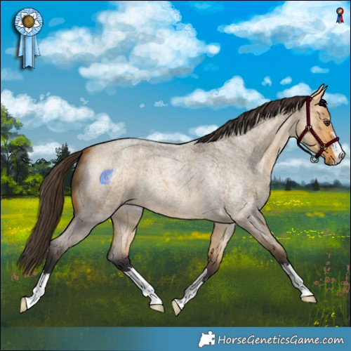 Horse Color:Buckskin Roan Dun 