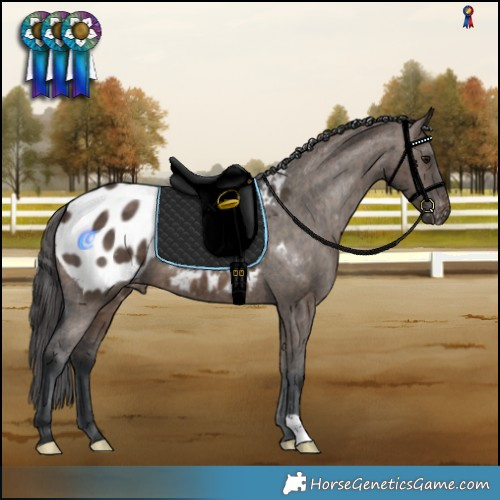 Horse Color:Brown Dun Blanket Brindle 