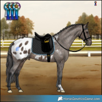 Horse Color:Brown Dun Blanket Brindle 