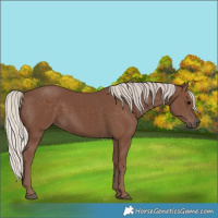 Horse Color:Silver Black 