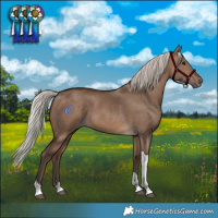Horse Color:Silver Brown Dun Tobiano Rabicano 