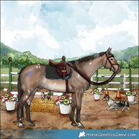 Horse Color:White Spotted Bay Dun Rabicano