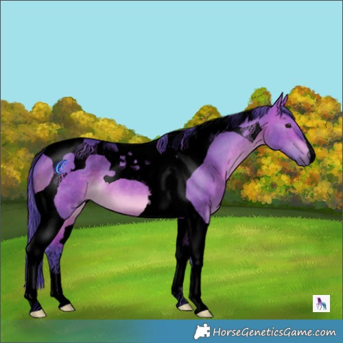 Horse Color:Void Watercolor Brown Dun Tobiano