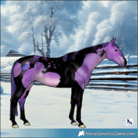 Horse Color:Void Watercolor Brown Dun Tobiano